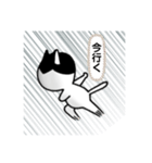 ハチワレ猫の不気味めスタンプ（個別スタンプ：31）