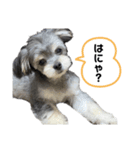 Muuくん（個別スタンプ：1）