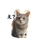 猫のミーです（個別スタンプ：14）