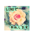 連絡お知らせ 敬語で大人な花写真（個別スタンプ：1）
