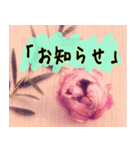 連絡お知らせ 敬語で大人な花写真（個別スタンプ：5）