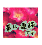 連絡お知らせ 敬語で大人な花写真（個別スタンプ：6）
