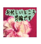 連絡お知らせ 敬語で大人な花写真（個別スタンプ：8）