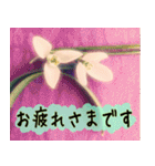 連絡お知らせ 敬語で大人な花写真（個別スタンプ：10）