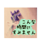 連絡お知らせ 敬語で大人な花写真（個別スタンプ：12）