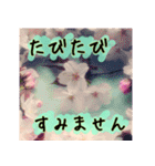 連絡お知らせ 敬語で大人な花写真（個別スタンプ：14）