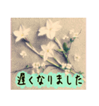 連絡お知らせ 敬語で大人な花写真（個別スタンプ：17）