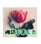 連絡お知らせ 敬語で大人な花写真（個別スタンプ：23）