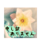 連絡お知らせ 敬語で大人な花写真（個別スタンプ：25）