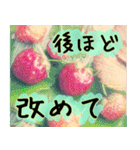 連絡お知らせ 敬語で大人な花写真（個別スタンプ：26）