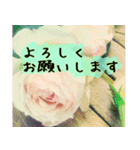連絡お知らせ 敬語で大人な花写真（個別スタンプ：31）