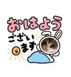 キジシロのぽよ1（個別スタンプ：9）