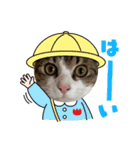 キジシロのぽよ1（個別スタンプ：10）