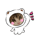 キジシロのぽよ1（個別スタンプ：13）