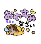 キジシロのぽよ1（個別スタンプ：14）