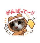 キジシロのぽよ1（個別スタンプ：15）