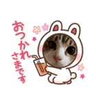 キジシロのぽよ1（個別スタンプ：16）
