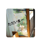 はっぱちゃんと、にこにこらんらん（個別スタンプ：9）