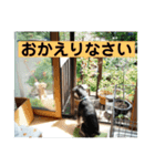 はっぱちゃんと、にこにこらんらん（個別スタンプ：10）