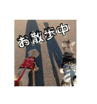 はっぱちゃんと、にこにこらんらん（個別スタンプ：14）