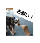 はっぱちゃんと、にこにこらんらん（個別スタンプ：22）