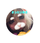 めろスタ○3✩︎⡱（個別スタンプ：34）