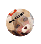 めろスタ○3✩︎⡱（個別スタンプ：36）