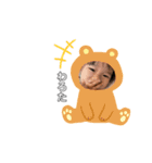 kotoseries（個別スタンプ：8）