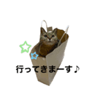 すーちゃんとペス（個別スタンプ：4）