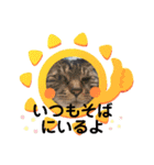 さっちゃんなのだ（個別スタンプ：4）