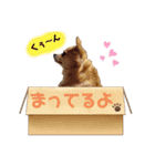 我が家のかわいいこたち（個別スタンプ：2）