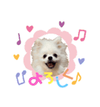 我が家のかわいいこたち（個別スタンプ：3）