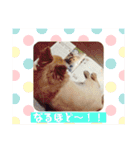 我が家のかわいいこたち（個別スタンプ：6）