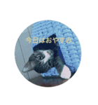 めちゃえらい！スタンプ1（個別スタンプ：1）