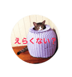 めちゃえらい！スタンプ1（個別スタンプ：2）
