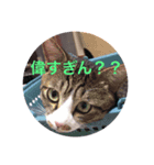 めちゃえらい！スタンプ1（個別スタンプ：3）