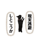 主婦の友③！ポメラニアン達と黒猫達（個別スタンプ：8）