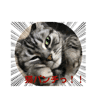 ショコラちゃん.（個別スタンプ：3）