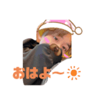 じゅようしか（個別スタンプ：3）
