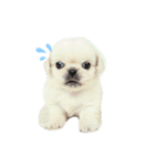らららららんど♪（個別スタンプ：3）