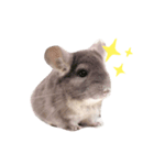 らららららんど♪（個別スタンプ：5）