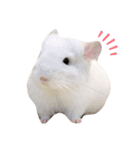 らららららんど♪（個別スタンプ：6）