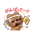 マロンと日常スタンプ（個別スタンプ：30）