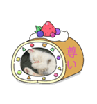 凶暴天使猫 ルーシェ1（個別スタンプ：3）