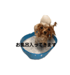 雲丹ちゃんスタンプ2（個別スタンプ：9）