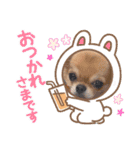 のりちゃんまめちゃんスタンプ（個別スタンプ：3）