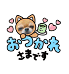 のりちゃんまめちゃんスタンプ（個別スタンプ：4）