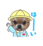 のりちゃんまめちゃんスタンプ（個別スタンプ：7）