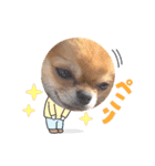 のりちゃんまめちゃんスタンプ（個別スタンプ：13）