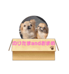 のりちゃんまめちゃんスタンプ（個別スタンプ：16）